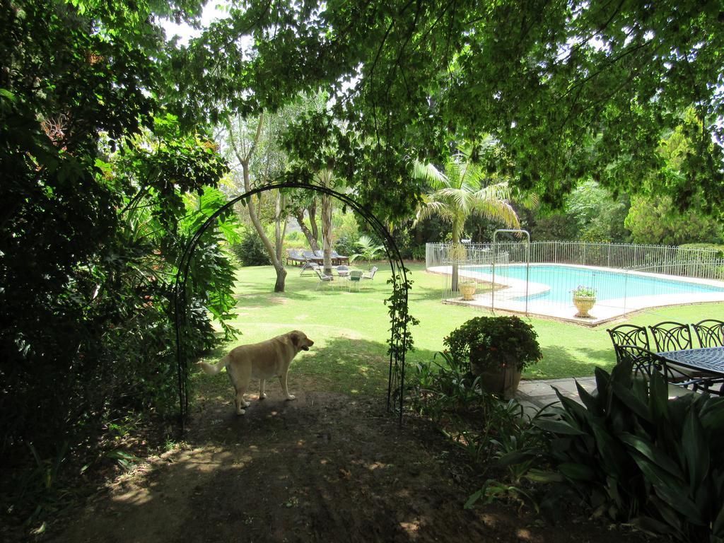 Happy Lands Farmstay Addo Exteriér fotografie